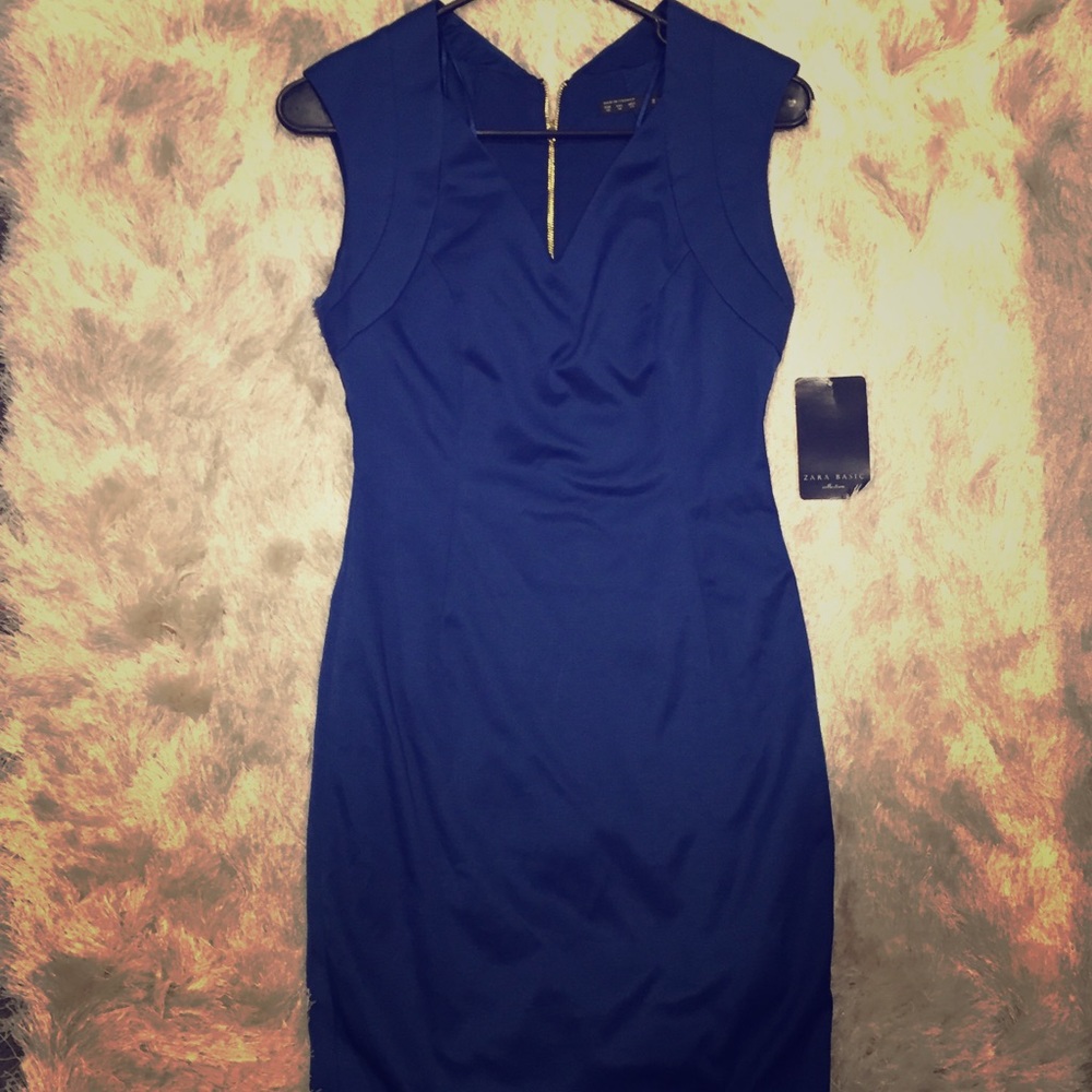NEW ZARA Dress